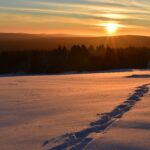 Snow and sunglight. Christmas and our mental health