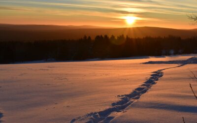 Getting through Christmas when things are hard – Christmas and our mental health