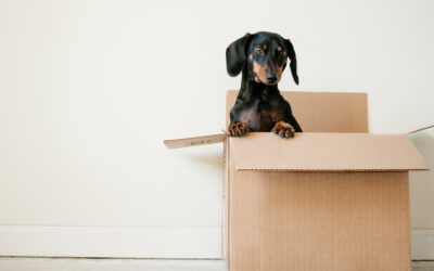 Moving house and your mental health