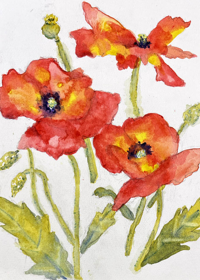 poppies - grounding strategies zine artwork